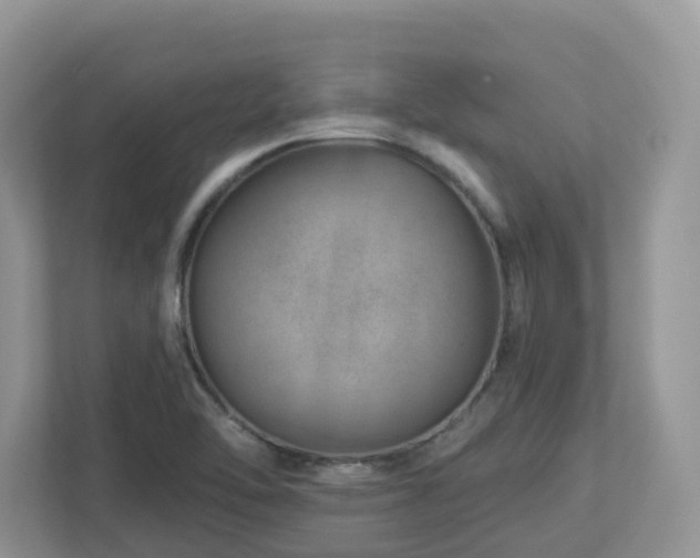 X0000112921462200908241216