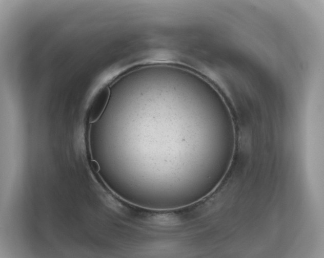X0000112921464200908241216