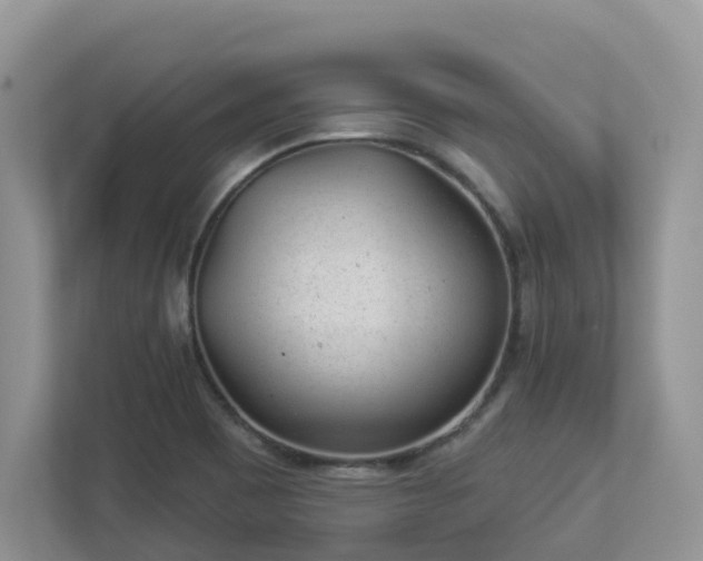 X0000112921465200908241216