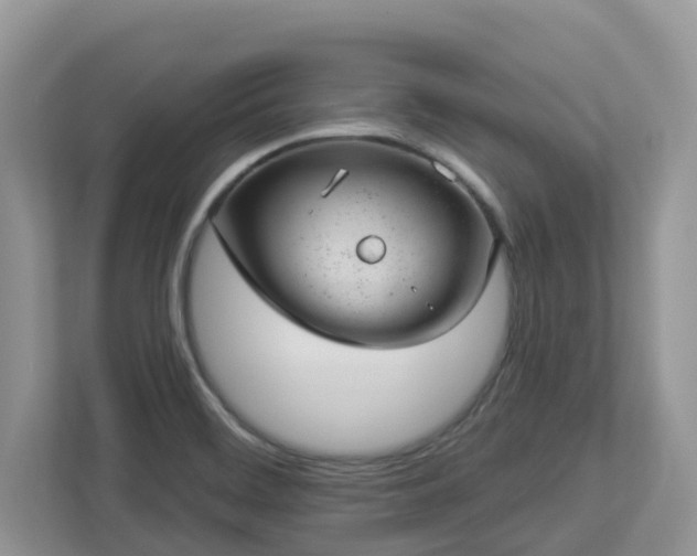 X0000112921468200908241216