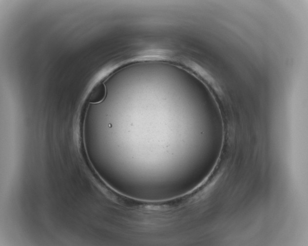 X0000112921469200908241216