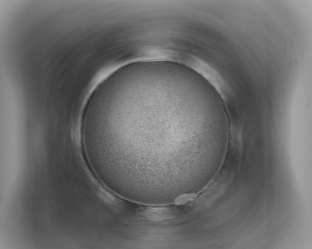 X0000112921477200908241216