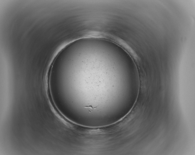 X0000112921479200908241216