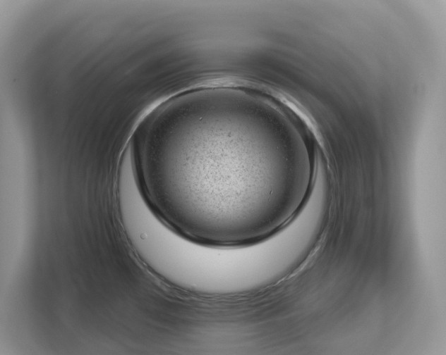 X0000112921481200908241216