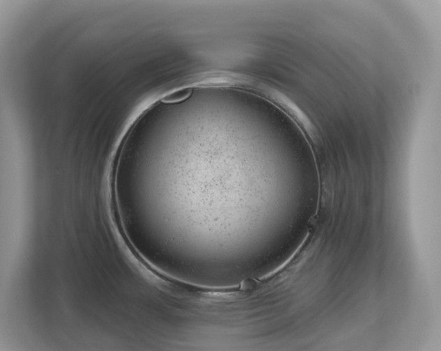 X0000112921483200908241216