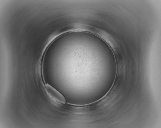 X0000112921484200908241216