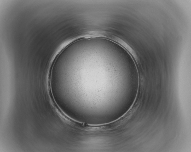 X0000112921485200908241216