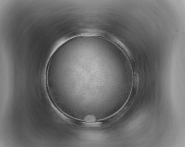 X0000112921487200908241216
