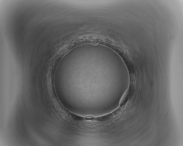 X0000112921489200908241215