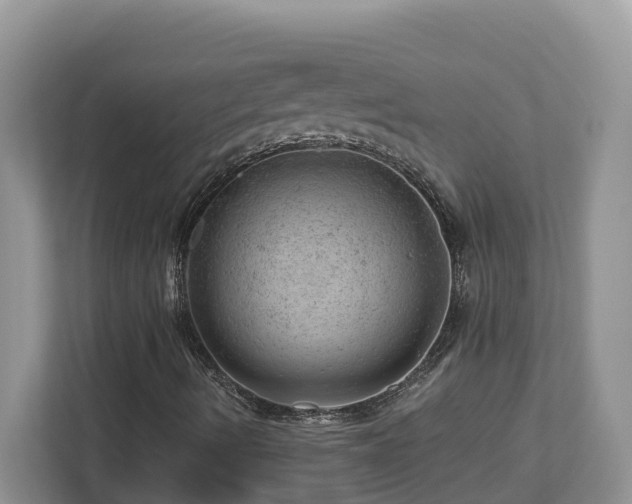 X0000112921490200908241215