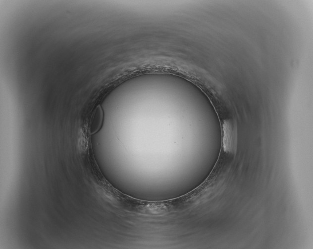 X0000112921491200908241215