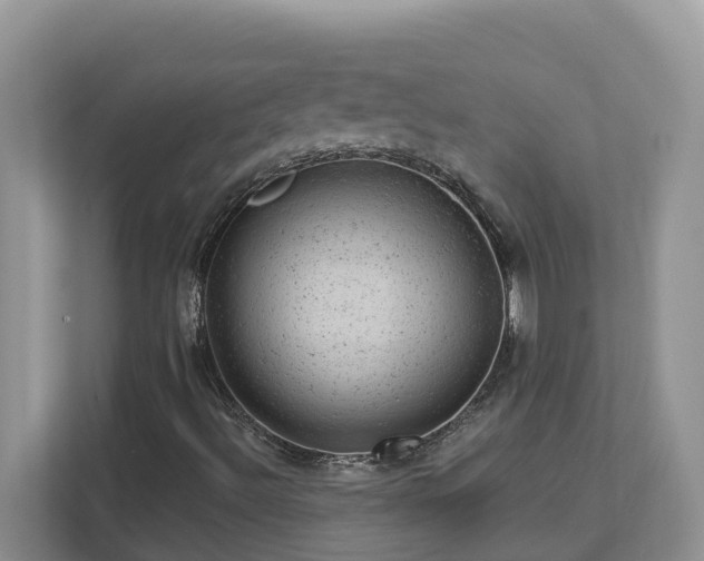 X0000112921492200908241215