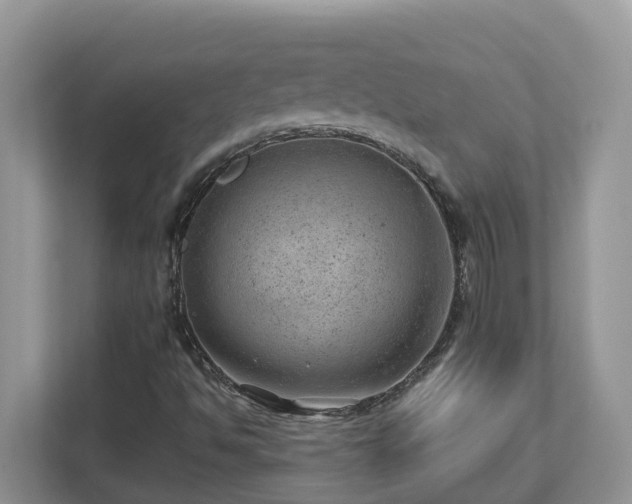 X0000112921494200908241215