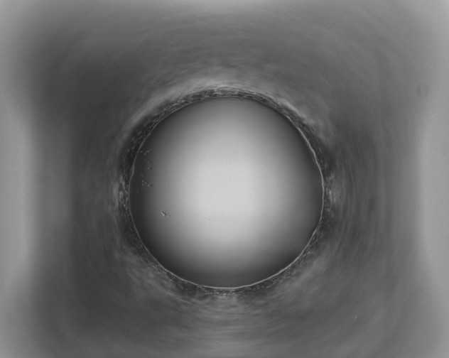 X0000112921495200908241215