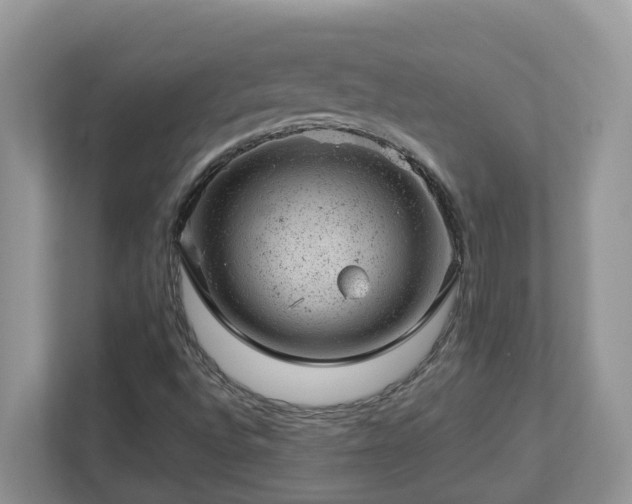 X0000112921496200908241215