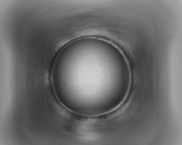 X0000112921497200908241215