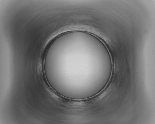 X0000112921498200908241215