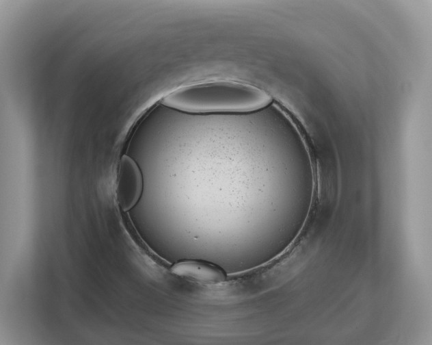 X0000112921500200908241215