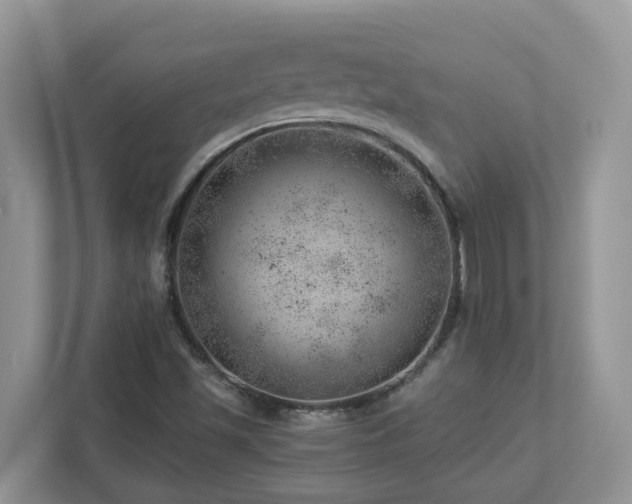 X0000112921501200908241215