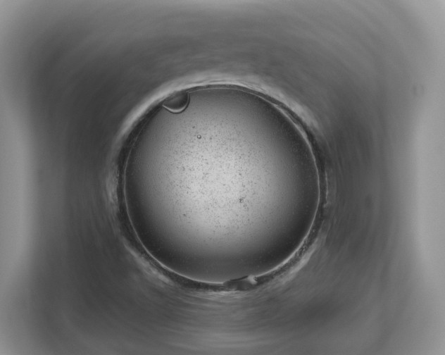 X0000112921502200908241215