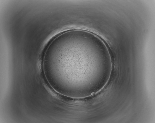 X0000112921503200908241215