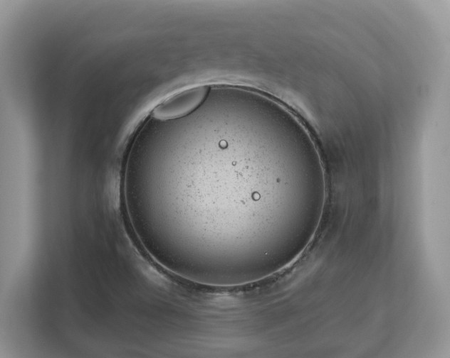 X0000112921504200908241215