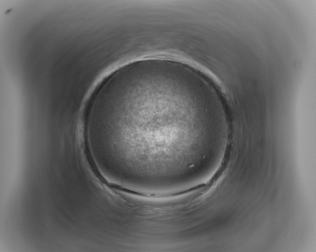 X0000112921506200908241216