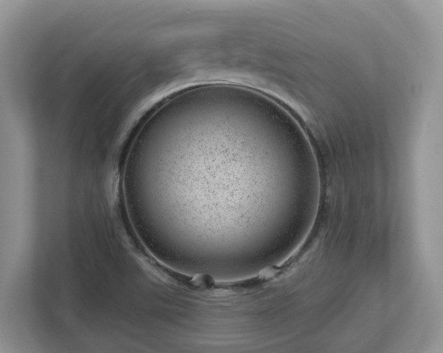 X0000112921507200908241216