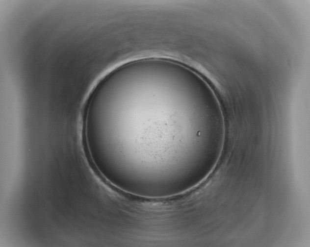 X0000112921508200908241216