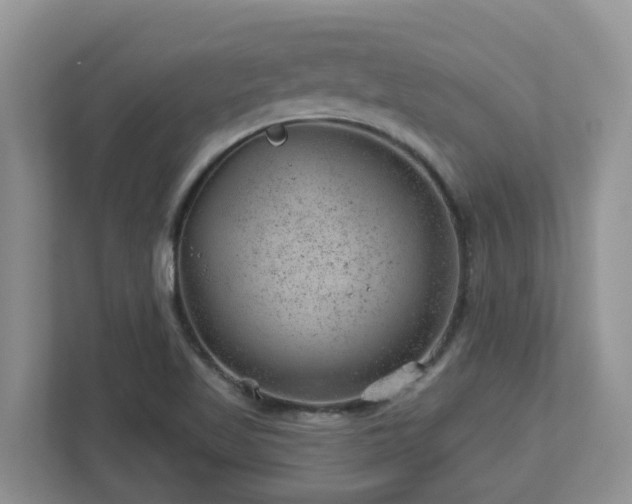 X0000112921509200908241216