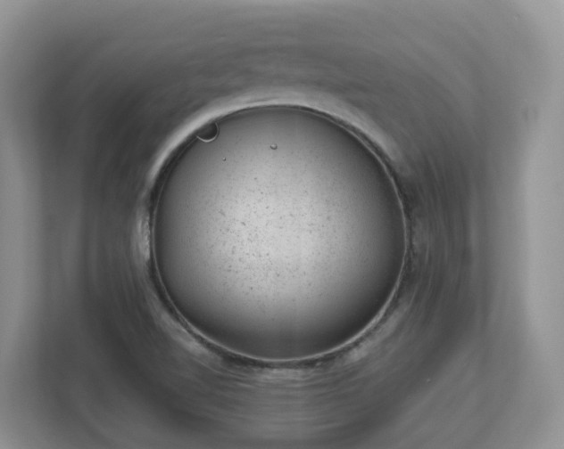 X0000112921510200908241216