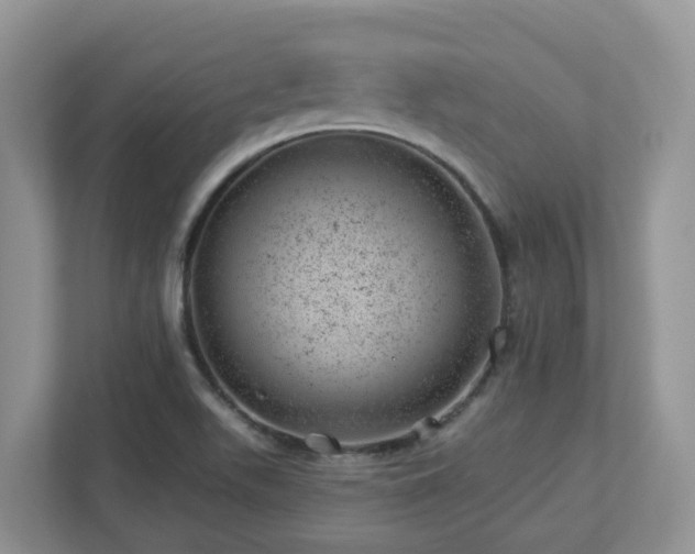 X0000112921511200908241216