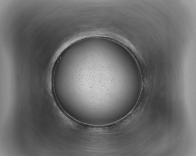 X0000112921512200908241216