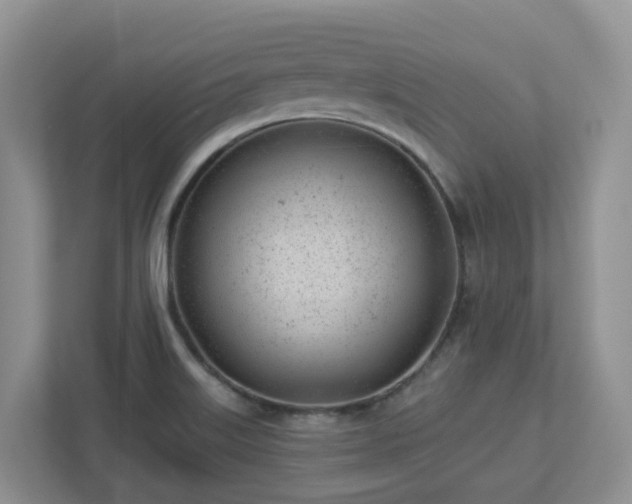 X0000112921515200908241216