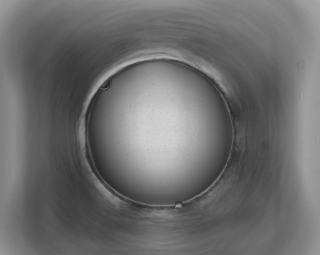 X0000112921516200908241216