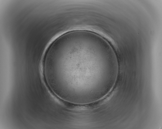 X0000112921517200908241216