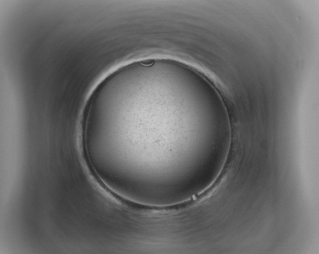 X0000112921518200908241216