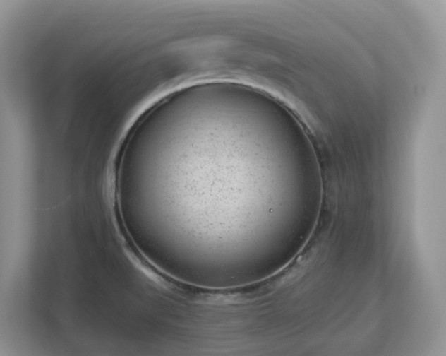 X0000112921519200908241216