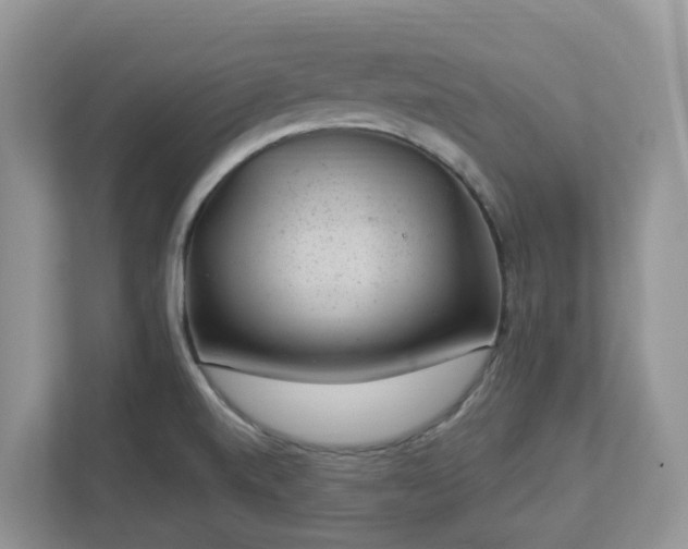 X0000112921520200908241216