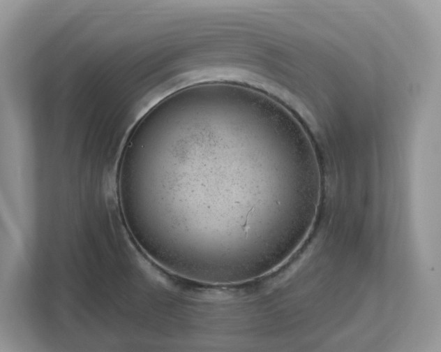 X0000112921521200908241216