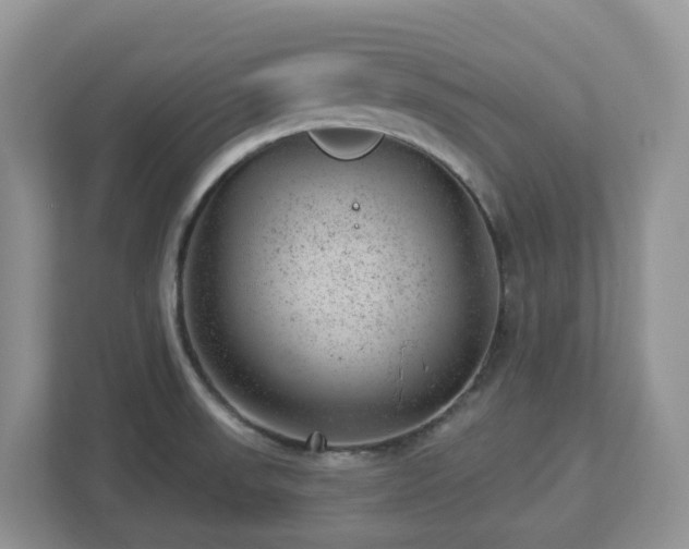 X0000112921523200908241216