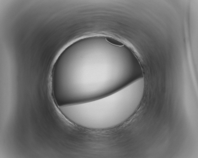 X0000112921524200908241216