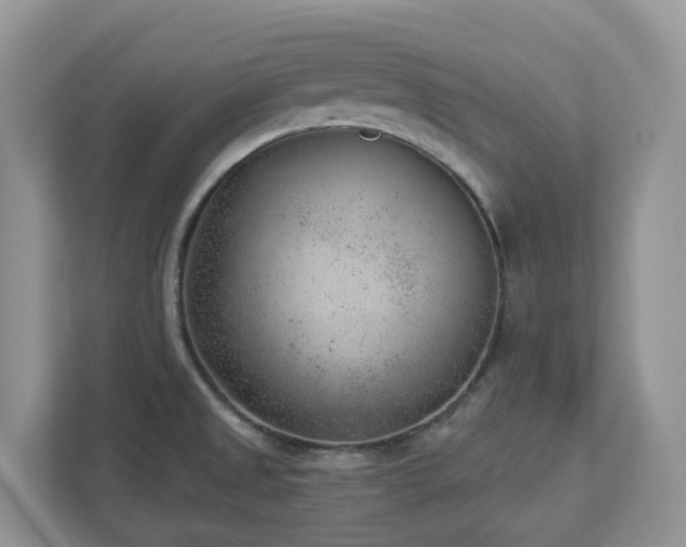 X0000112921525200908241216