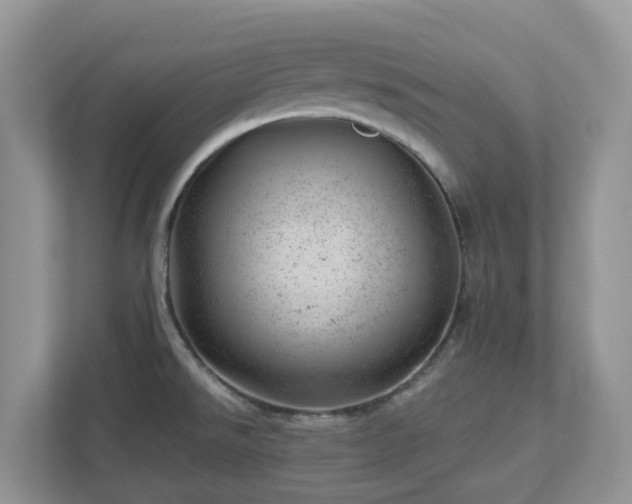 X0000112921526200908241216