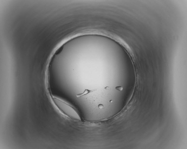 X0000112921528200908241216
