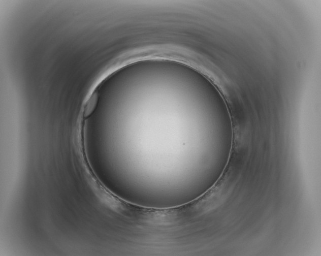 X0000112921530200908241216