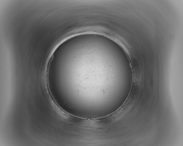 X0000112921532200908241216