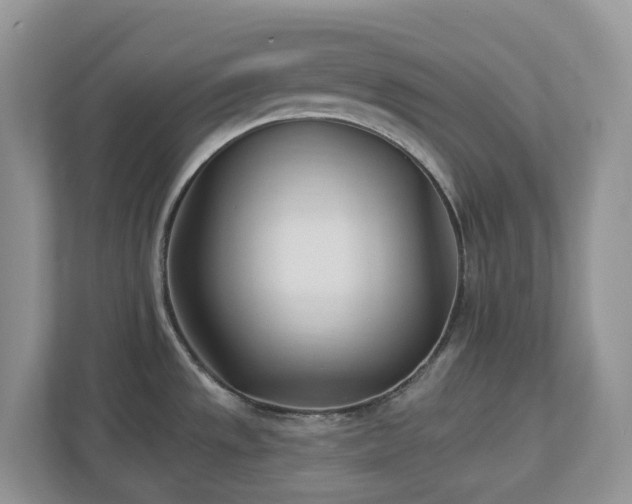 X0000112921533200908241216