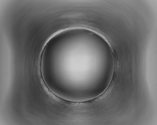 X0000112921534200908241216