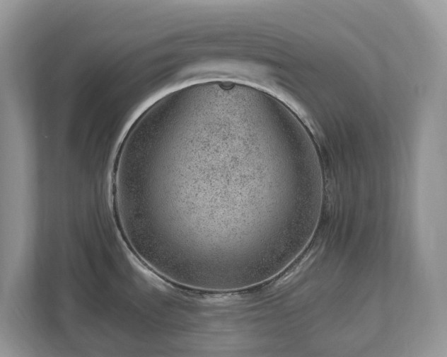 X0000112921535200908241216